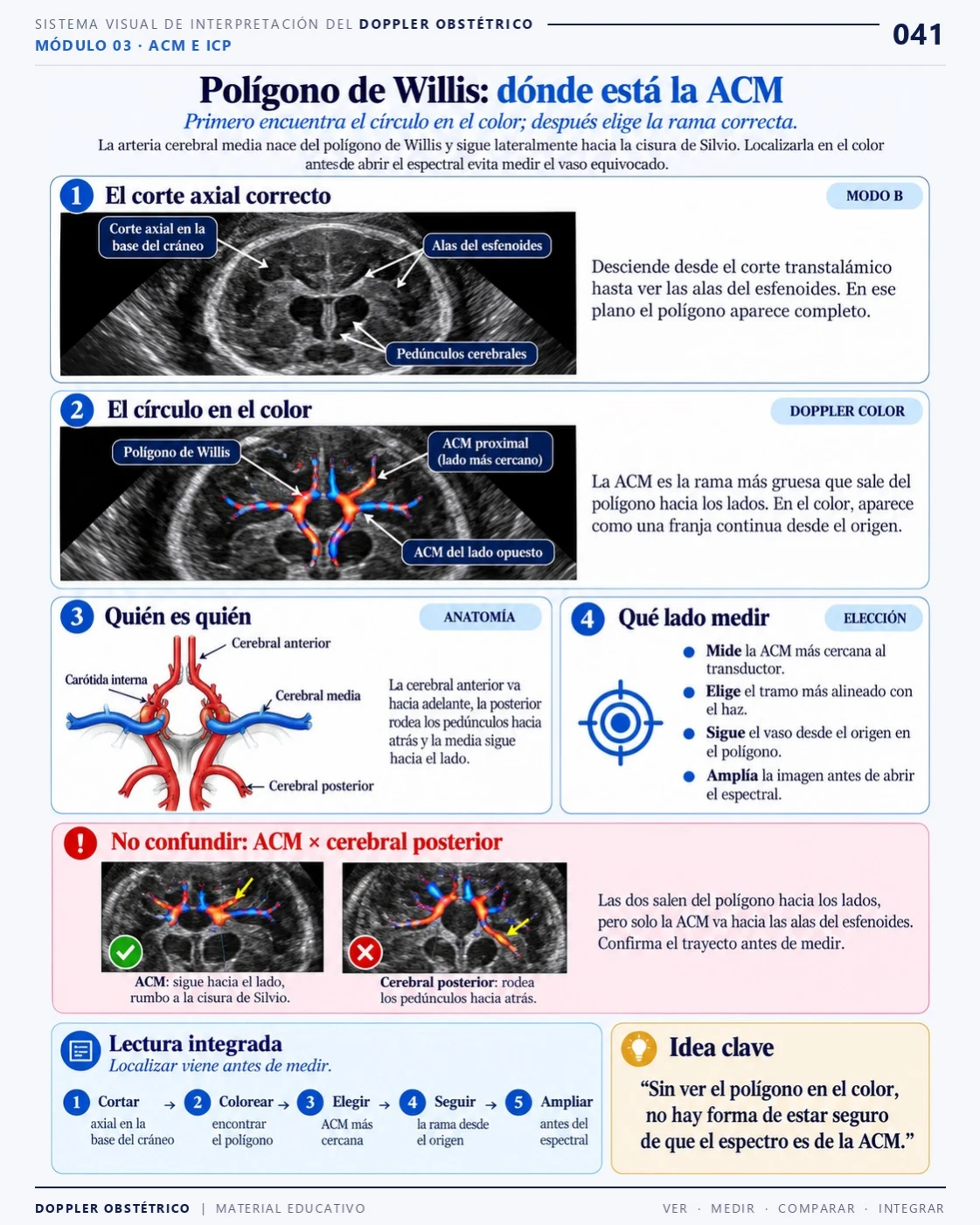 Página 41: Polígono de Willis: dónde está la ACM. Extracto del PDF de Doppler Obstétrico y Fetal.